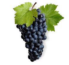 Grapes bundle